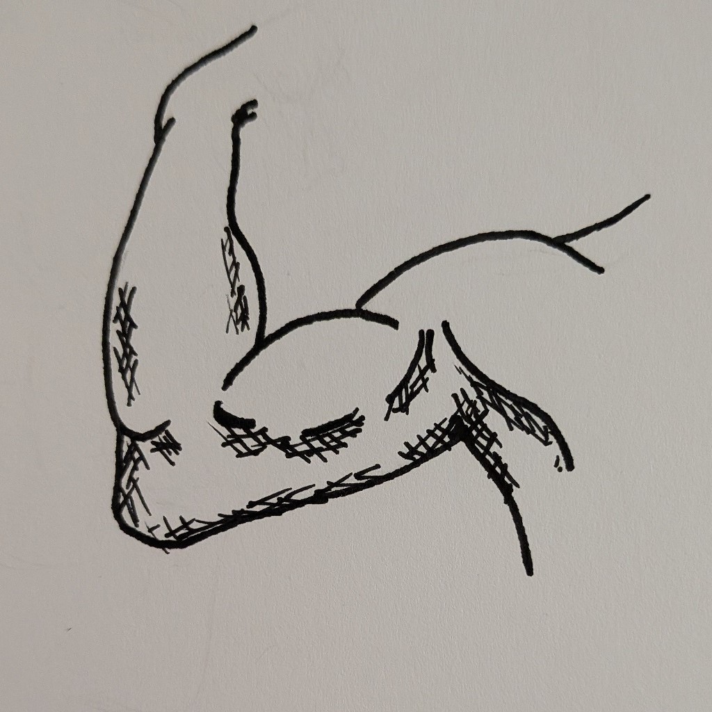 A black line drawing of a man's arm. He is well muscled and is flexing his biceps. It shows shoulder to wrist and a small bit of underarm. Crosshatching picks out shadow detail.